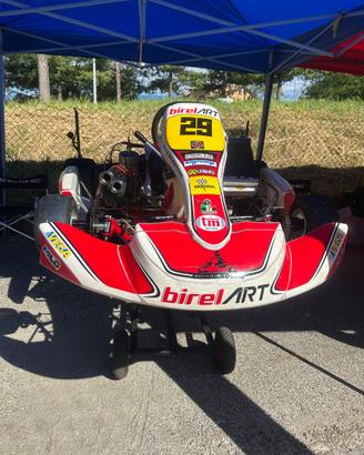 Kart 125 Birel Art 2020