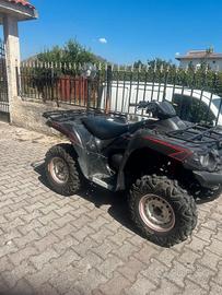 kawasaki Brureforce KWF 750