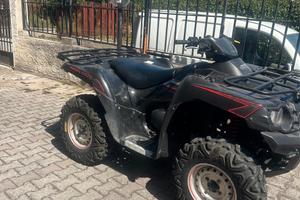kawasaki Brureforce KWF 750
