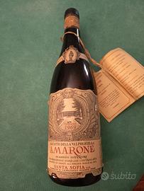 vino Amarone annata 1969