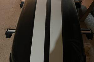 Baule e barre mini Countryman f60