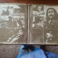 Lotto dischi in vinili totale 50