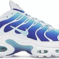 Nike TN Azzurre e Bianche Usate Poco - Come Nuove