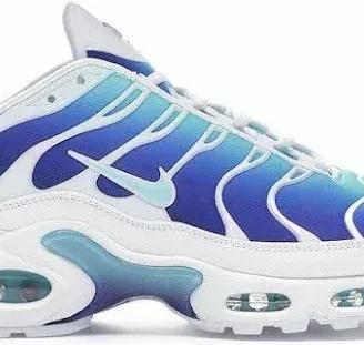 Nike TN Azzurre e Bianche Usate Poco - Come Nuove