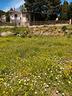 rif-4-strada-provinciale-1-terreno-2400mq