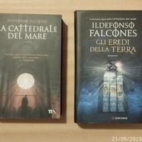 Romanzi di Ildefonso Falcones