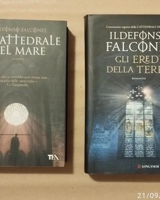 Romanzi di Ildefonso Falcones