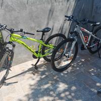 1 Mountain bike bianca con portabici