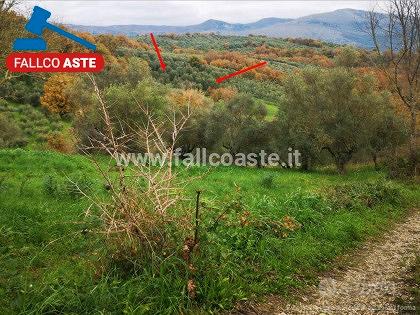 TRIBUNALE DI SALERNO - RG 155/2019 Terreni in asta - Vista 4