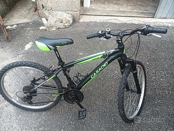 bici Casadei 24"