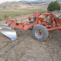 Aratro trivomere carrellato raciti