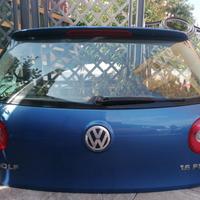 PORTELLONE VW GOLF 2005