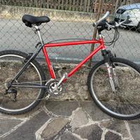 bicicletta mountain bike