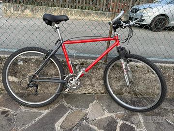 bicicletta mountain bike