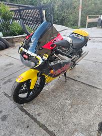 Aprilia Rs 125 Melandri