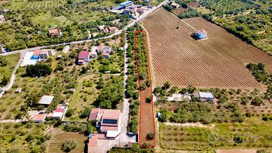 Terreno agricolo a Partinico, Contrada Parrini