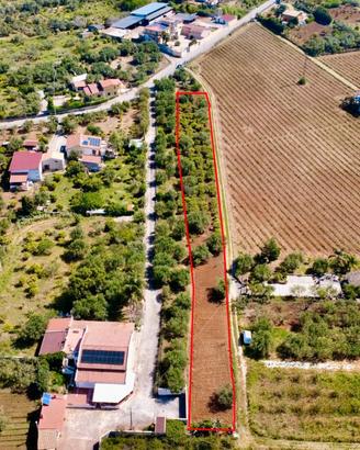 Terreno agricolo a Partinico, Contrada Parrini