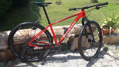 mountain bike specializde