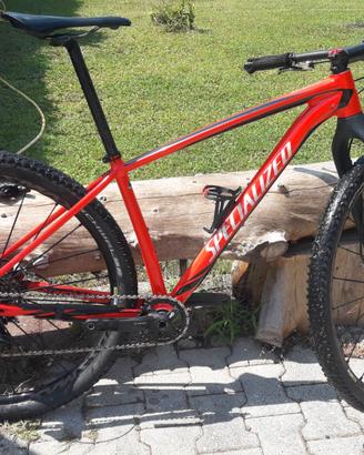 mountain bike specializde