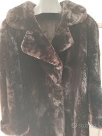 pelliccia castoro lontrato 