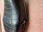 Immagine 6