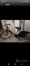 bici donna Holland 