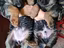 Immagine 1