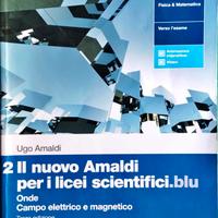 Il nuovo Amaldi per i licei scientifici.blu Vol 2