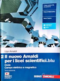 Il nuovo Amaldi per i licei scientifici.blu Vol 2