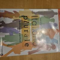 ITALIANO PLURALE GRAMMATICA E SCRITTURA