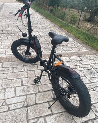 bicicletta da passeggio