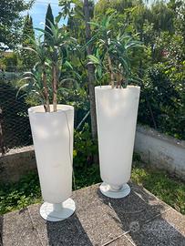 Vasi Luminosi da Design + Piante (H 100cm e 85cm)