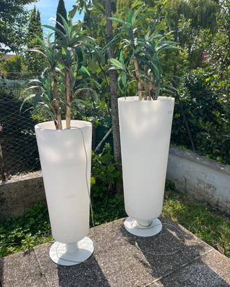 Vasi Luminosi da Design + Piante (H 100cm e 85cm)