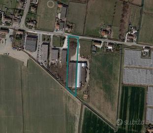 Immobile in asta di 2316 m² a Boschi Sant'Anna