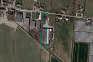 Immobile in asta di 2316 m² a Boschi Sant'Anna