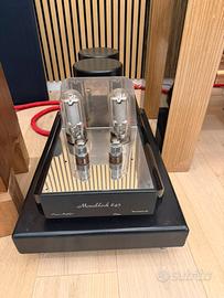 Amplificatore Finale mono mastersound 845