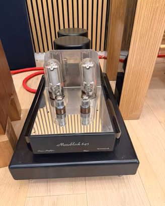Amplificatore Finale mono mastersound 845