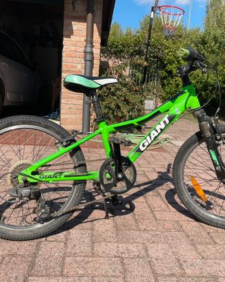 Bici bambino Giant