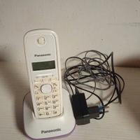 Cordless Panasonic 