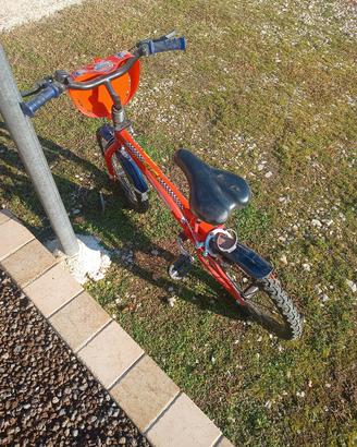 Bicicletta delle Cars