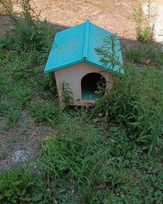 Cuccia per cane in legno con tetto azzurro