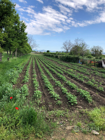 Terreno agricolo in zona industriale