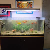 Acquario Marino 350lt. + sump