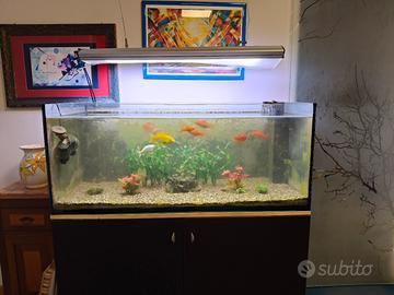 Acquario Marino 350lt. + sump