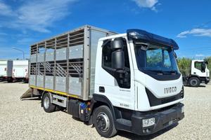IVECO EUROCARGO 80E22 P E6 CASSA BESTIAME
