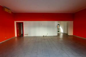 Polesella, centralissimo negozio