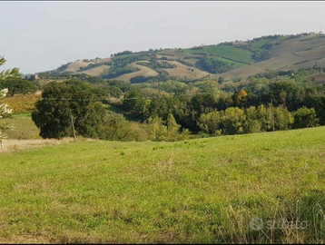 Terreno agricolo frazione Galoppa, Barchi (T Rov)