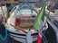 Immagine 4