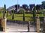 Immagine 5