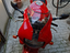 Immagine 1